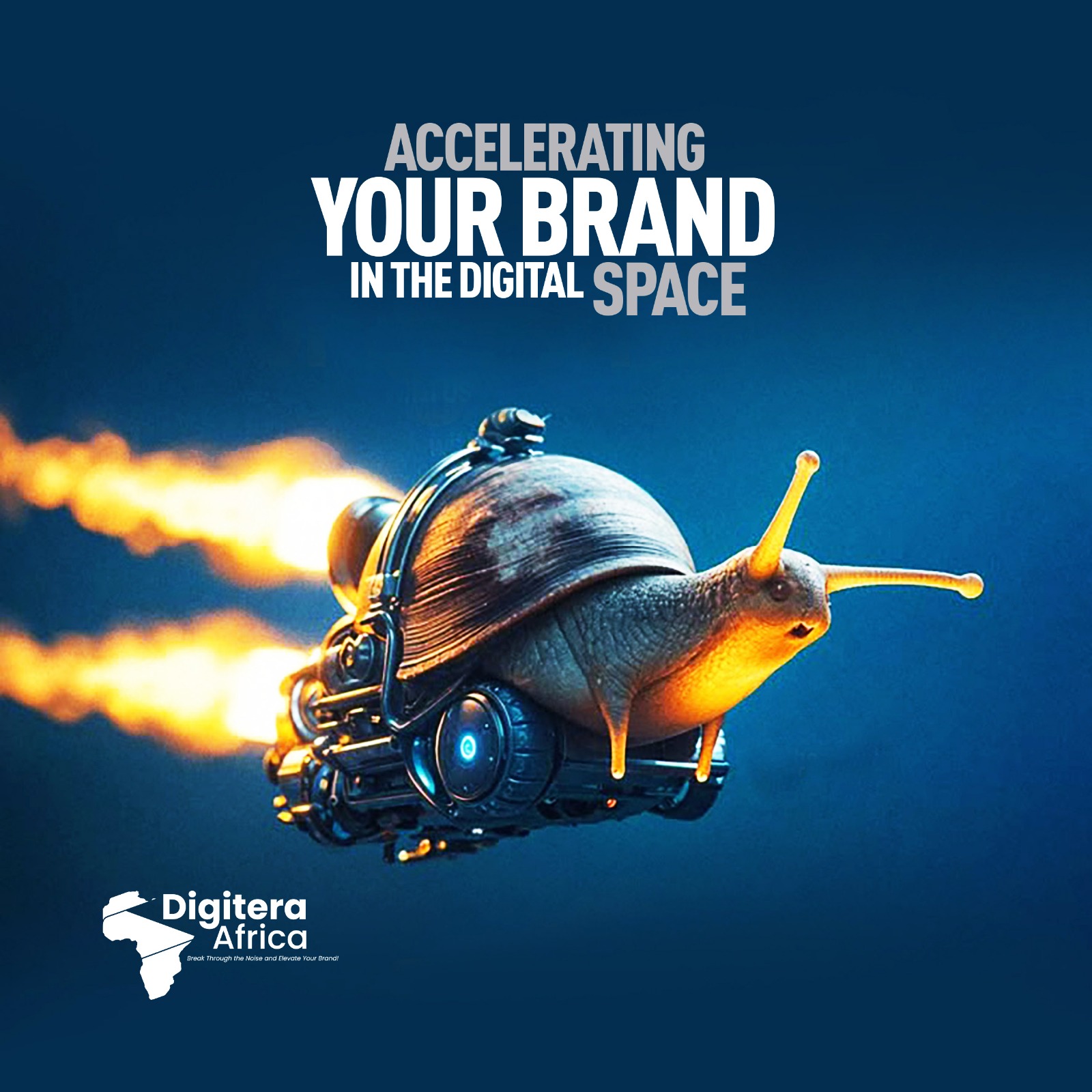 Why Choose Digitera Africa